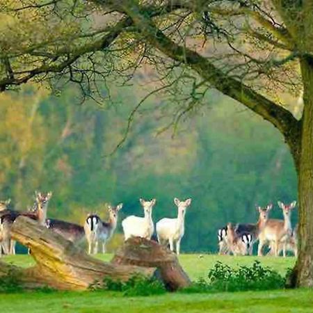 New Forest Retreat Shorefield Country Park 利明顿 外观 照片